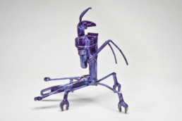 violet praying mantis